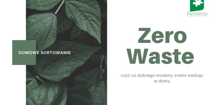 Zero waste – co możemy zrobić w wolnym czasie dla planety